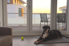 00014-Ostsee-Ferienwohnung-mit-Hund