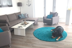 Geräumige-Ferienwohnung-mit-Hund