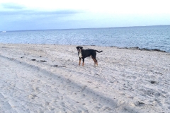 Hundestrand-Pelzerhaken