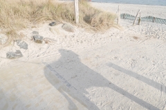 Ostsee-Spaziergang-Hundeschatten-am-Strand