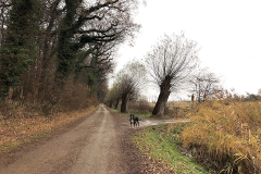 Ostsee-am-Waldrand