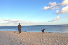 Sammy-Abendspaziergang