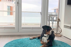 Sammy-Ferienwohnung-Pelzerhaken