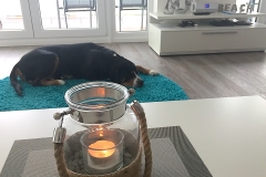 Sammy-Ostseeferienwohnung