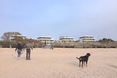 Sammy-am-Strand-Südkap-Pelzerhaken