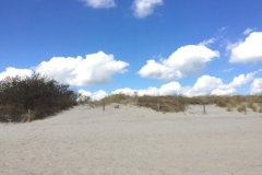 Blauer-Himmel-und-Dünen