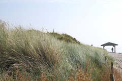 Herbst-Dünen-Pelzerhaken