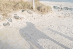 Ostsee-Spaziergang-Hundeschatten-am-Strand