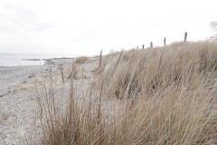 Ostsee-Strand-bei-Rettin