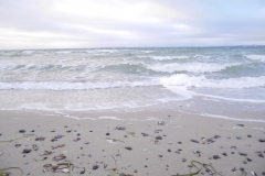 Pelzerhaken-Ostsee