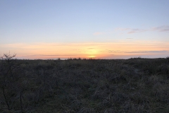 Sonnenuntergang-Dünen-Pelzerhaken