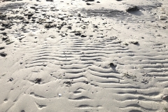 Spuren-im-Sand