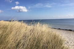 Strand-Dünen-Ostsee