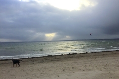 Strand-Pelzerhaken-bei-Sturm-mit-Hund-2