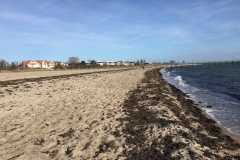 Strand-pelzerhaken-vorsaison