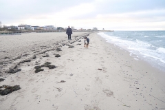 Strand-und-Hund-im-Jan