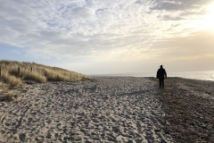 Strandspaziergangimwinter