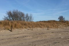 strand-und-dünen-pelzerhaken