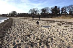 strand-und-hund
